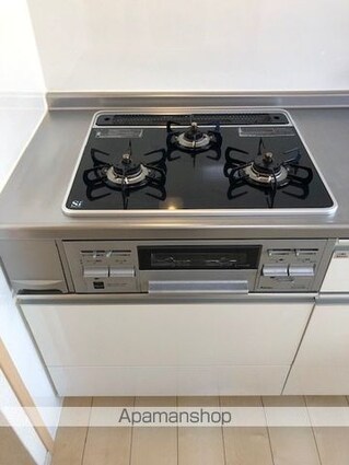 ヴィラ・グレイス浜大津[1DK/31.11m2]の内装6