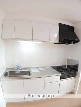 アヴニール・セカンド[1SLDK/68.63m2]のキッチン