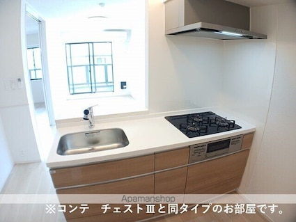 ラクーン守山[1LDK/42.51m2]のキッチン