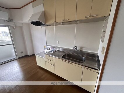 広島県広島市西区己斐本町１丁目[2LDK/57.95m2]のキッチン