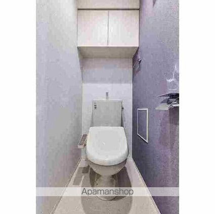 グランカーサ菊川[1DK/26.85m2]のトイレ