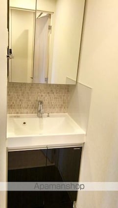 ＬＯＶＩＥ麻布十番[1R/26.16m2]の洗面所