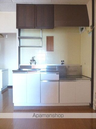 塩入ハイツ[3DK/50.18m2]のキッチン