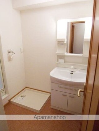 東京都昭島市緑町２丁目[1LDK/48.39m2]の洗面所