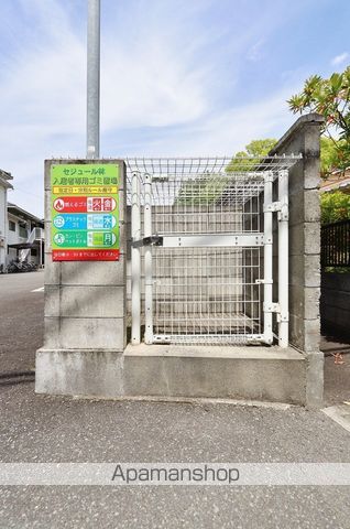 セジュール林のその他写真