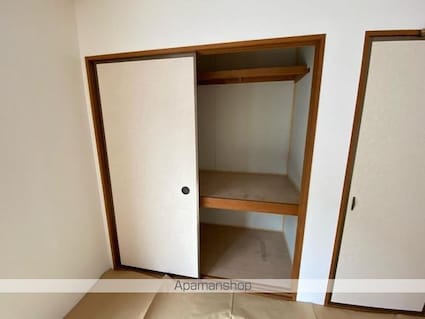 ハイツアベニールＡ・Ｂ棟[2DK/46.37m2]の収納