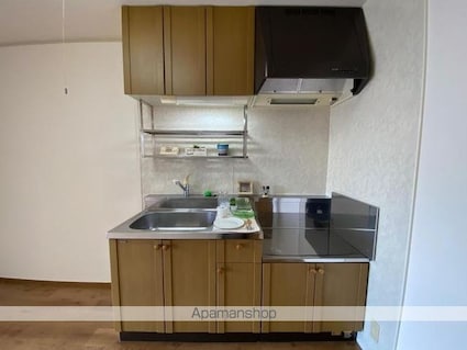 グレースヴィラ　Ａ棟[2LDK/50.04m2]のキッチン