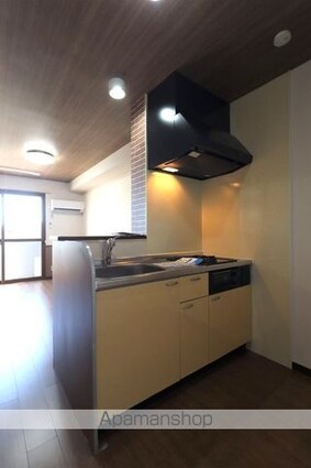 モナリエⅡ[1LDK/33.39m2]のキッチン