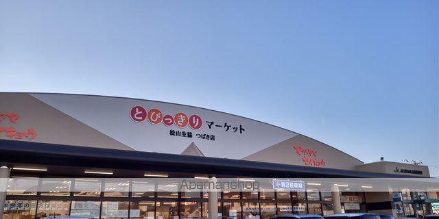 レオパレスグランドカメリアⅡ 211 ｜ 愛媛県松山市居相４丁目17-6（賃貸アパート1K・2階・23.18㎡） その17