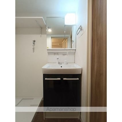 ネオアーバンレジデンス江古田[1LDK/42m2]の洗面所