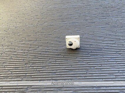 クレイノファレノプシス[1K/27.64m2]のセキュリティ1