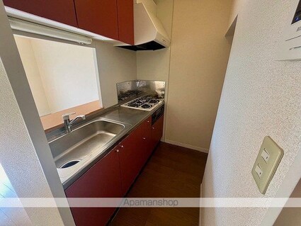 レオパレスヴィレッジ[2DK/49.68m2]のキッチン