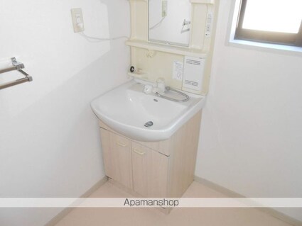 ビレッジアスカ[3K/56.64m2]の洗面所