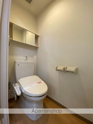 ブエナビスタ　[1K/30.96m2]のトイレ