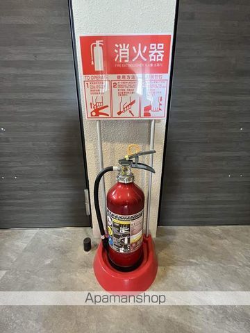 シュクル レーヴのその他写真