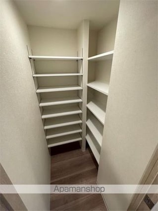 スターズスクエア浦和美園[2LDK/57.06m2]の収納