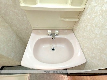 グレースハイツ岩崎[3DK/60.78m2]の洗面所