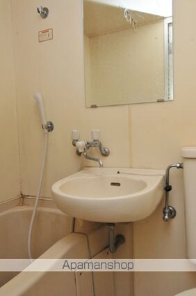 メゾン・ド・ポルシュ[1R/15.37m2]の洗面所