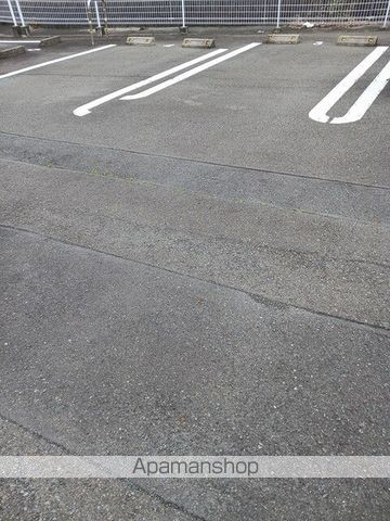 プラシードのその他写真