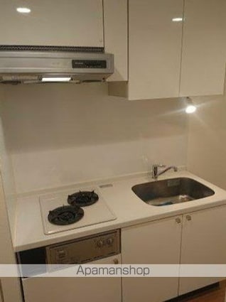 スカイコート新小岩[1K/24.51m2]のキッチン