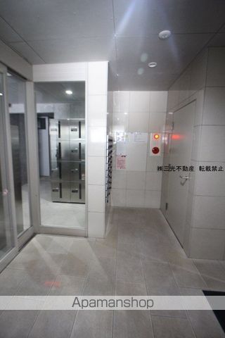 カサトレスネオのその他写真
