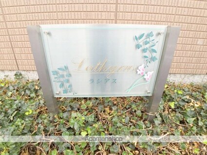 ラシアス[1LDK/42.17m2]の外観4