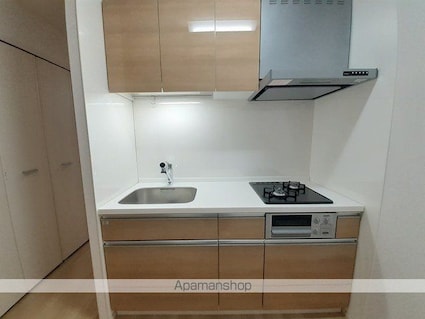 ＤｅａｒＣｏｕｒｔⅢ[1R/34.15m2]のキッチン