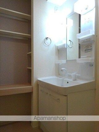 フラン・メゾン　Ａ[1K/34.15m2]の洗面所