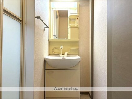 セジュール２５２[2K/41.26m2]の洗面所