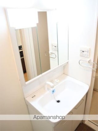 チェスナット　西大島[1K/30.98m2]の洗面所