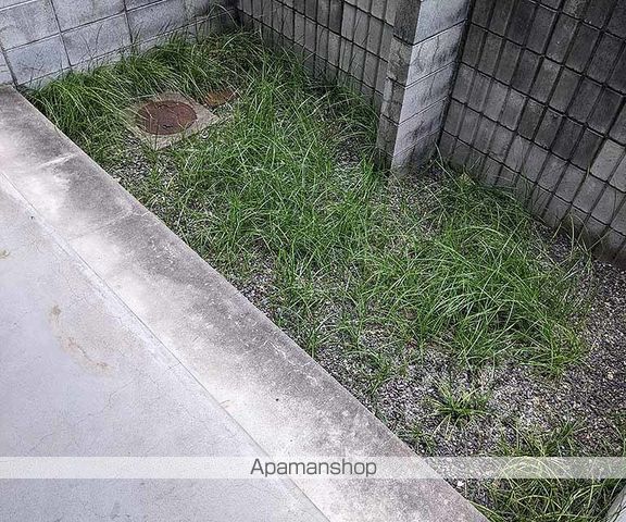 Fハウスの内装写真