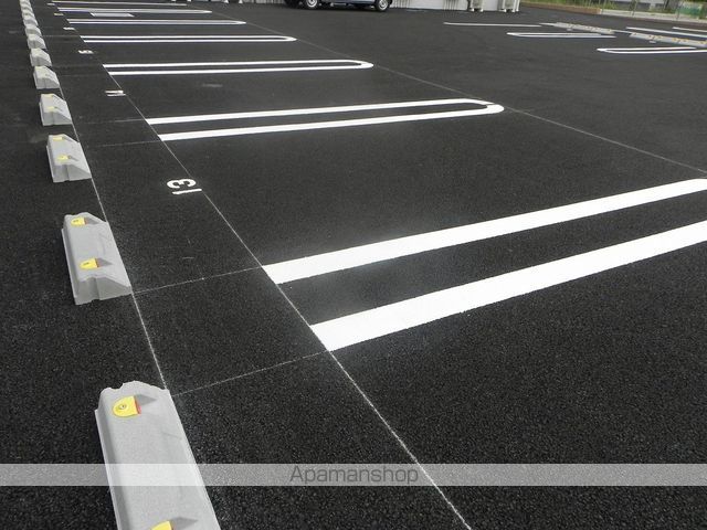 チェリーブロッサムのその他写真