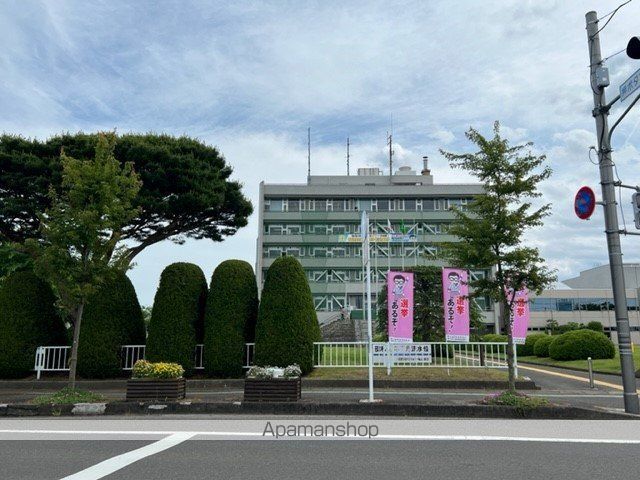 ハイビスカスの周辺写真