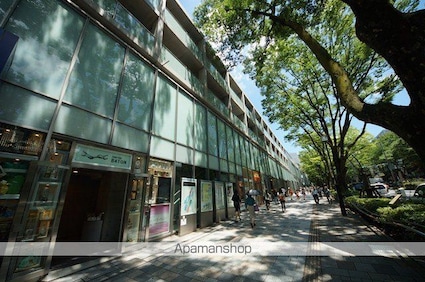 パークアクシスプレミア表参道[1LDK/49.54m2]の周辺1