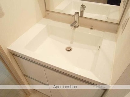 ＴＨＥ　ＴＯＫＹＯ　ＴＯＷＥＲＳ　ＭＩＤＴＯＷＥＲ[1K/44.5m2]の洗面所