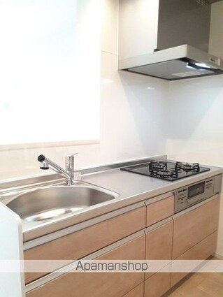 アイダッシュⅡ[2LDK/54.61m2]のキッチン