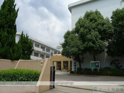 マンションＨＡＭ清水町[1R/19.86m2]の周辺4