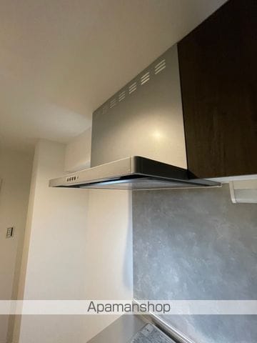 ラフィーネ大和の内装写真