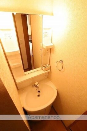 プラドールソフィア[1R/23.75m2]の洗面所