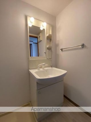 ロイヤルコーポ中川　[1LDK/51.3m2]の洗面所