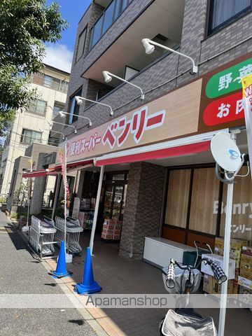 リリックコートハイビスカスの周辺写真