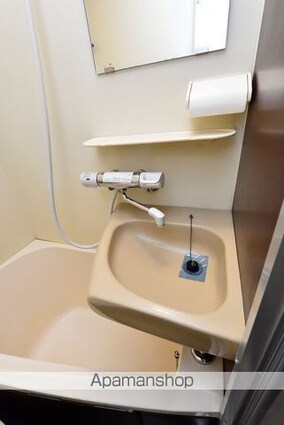 ラ・レジダンス・ド・エスパリエ[1R/16.5m2]の洗面所