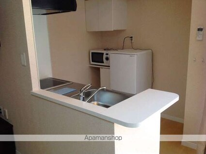 レオネクストオールリバー[1R/32.28m2]のキッチン