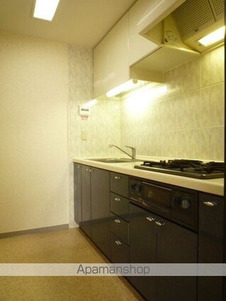 ガーデナヴィルマグノリア市川妙典[3LDK/63.1m2]のキッチン