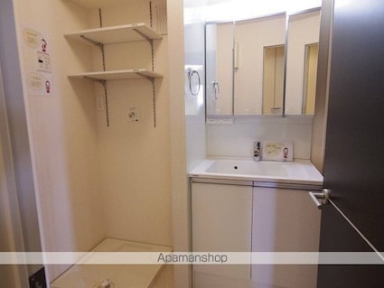 ＳＵＮーＨＥＩＭ（サンーハイム）[1LDK/49.92m2]の洗面所