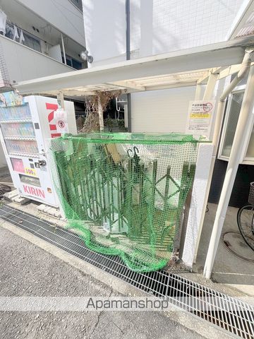 ゴールドクレストのその他写真