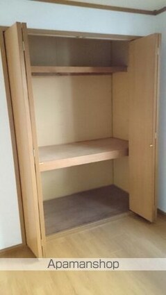 グリーン・リーフ軽井沢[2DK/46.06m2]の収納