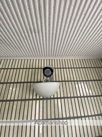 カーム平和のその他写真