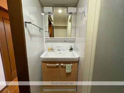 ロイヤル・シャトー一番館[3LDK/66m2]の洗面所