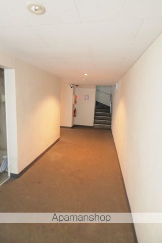 クリサンテームのその他写真
